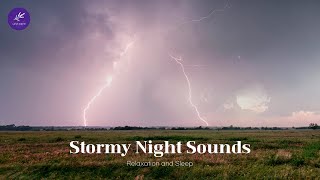 Stormy Night Sounds Thunder Rain amp Lightning for Stress Relief [upl. by Rivera]