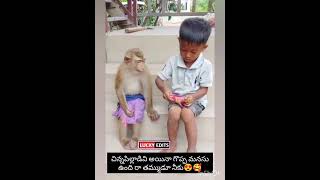 Chinnapillavadi ayena manchi manasu undhi ♥️👌🥰goodheartedman love like share subscribe [upl. by Aeslehs922]