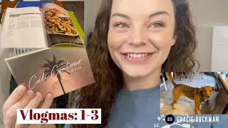 Vlogmas 2021 Days 13  Brow Journey and Doggies [upl. by Elik]