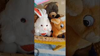 Animal Day viralvideo shealpha animalday [upl. by Devlen]