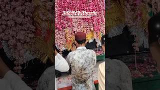 मकनपुर Moharram 2024 Makanpur Sharif Tajiya makanpur mohrram karbala dammadarbedapaar [upl. by Berger]