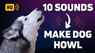 10 Sounds That Will Make Your Dog Howl [upl. by Madelon]