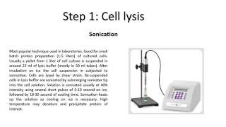 Protein purification Cell lysis2 [upl. by Lorette]