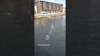 Puente Colgante Portugalete bilbao portugalete paisvasco recuerdosinolvidables elsalvador503 [upl. by Gereron816]