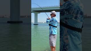 How To Catch Pompano on homemade TEASERS for Beginners [upl. by Aehtorod268]