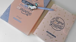 RECENSIONE AGENDA MR WONDERFUL poket giornaliera Unboxing e prime impressioni [upl. by Akerley]