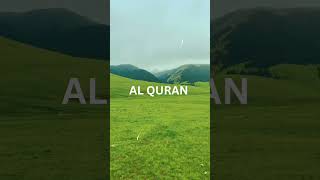 surat al qariashorts viralshorts quranallah [upl. by Ahsotal]