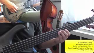 Get Here  Oleta Adams  Bass Cover  Pino Palladino Bassline [upl. by Ennayelsel]