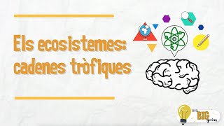 Els ecosistemes cadenes tròfiques  Little Big Genius [upl. by Lucrece]