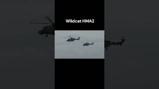 Wildcat WHA2 [upl. by Anig]