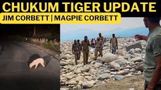 Chukum Tiger Update  Jim Corbett  Magpie Corbett [upl. by Tybie]