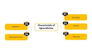 BE4109 Biorefinery SystemModule 1Segment 3 [upl. by Klehm308]