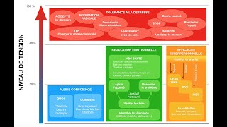 Quand utiliser les compétences de la Thérapie Comportementale Dialectique TCD  © GREMO [upl. by Arikaahs434]