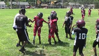 Duval Tigers vs Raw Cardinals 10U [upl. by Ausoj]