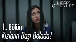 Kızların başı belada  Kırgın Çiçekler 1 Bölüm [upl. by Ailak]