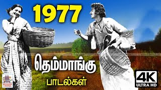 1977 Themmangu Songs 1977 ஆம் ஆண்டு கிராமத்திலிருந்து பொங்கி வந்து இனிமை தந்த தெம்மாங்கு பாடல்கள் [upl. by Younglove]