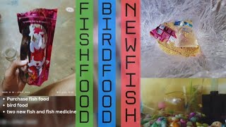 Purchase new fishfish foodbird foodfish medicine viralvideoviralshorts birdfoodfishfood [upl. by Mavra73]