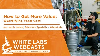 How To Get More Value Quantifying Yeast Costs [upl. by Ajup]