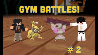 Pokefind 2  Gym Battles [upl. by Ynahteb]