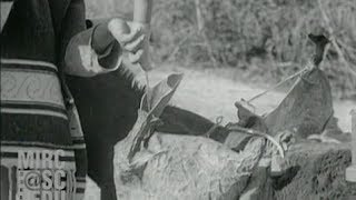 Mezcal  Harvesting Juices Mexico 1931 [upl. by Sheryl768]