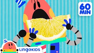 THE BEST OF BABY BOT 🚀 🤖 Educational Cartoons Compilation  Lingokids [upl. by Yecac355]