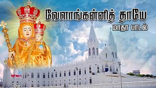 Mother Mary Song Tamil Annai Velankanni Thaayae Fr Reynold George [upl. by Dnalhsa]