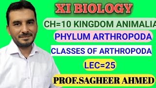 Classes Of Phylum Arthropoda Class MerostomataMerostomataby profsagheer Ahmedking crabLimulud [upl. by Porcia194]