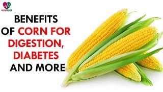 Benefits Of Corn for Digestion Diabetes And More  Health Sutra [upl. by Anahsit]