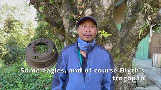 Episode 33 Birds of Nagaland with Angulie Meyase [upl. by Edorej674]