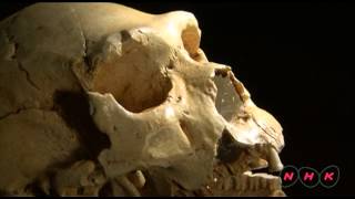 Archaeological Site of Atapuerca UNESCONHK [upl. by Gertrudis]