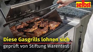 Aktuelle Gasgrills Perfekt für die Grillsaison [upl. by Adia412]