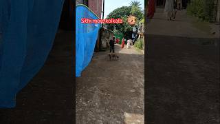 Kolkata catching blind dog and treatment for shelter difficult catching karon dog ta pregnant [upl. by Robert]