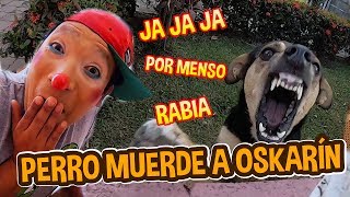 PERRO MUERDE A OSKARIN 🤡🐕🐶 [upl. by Atnoek936]