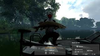 FISHING PLANET SAINT CROIX TIGER MUSKIE UNICO [upl. by Nodnek827]