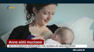 İlk 6 ay anne sütü şart Emzirme dönemi ne zaman bitirilmeli [upl. by Aeniah]