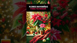 🌿🌸 ¡Las flores navideñas que sorprenden cada diciembre No te las pierdas [upl. by Utham]