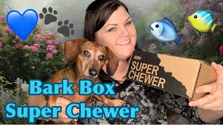 Bark Box 🐾 Super Chewer May Unboxing 🐾 [upl. by Asilrak731]