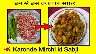 Karonde ki Sabji Kaise Banaye  Karonde Hari Mirch ki Khatti Meethi Tasty Sabji  Karonde Recipe [upl. by Myna338]