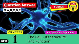 ⚕️The Cell  Dav Class 8 Science Chapter 1 Question Answer Explanation Dav Public School QABCDE [upl. by Assirem]