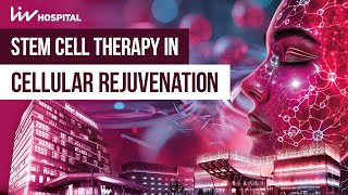 Stem Cell Therapy in Cellular Rejuvenation I Liv Hospital [upl. by Neeruan]