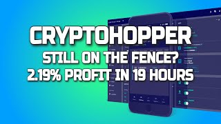 Cryptohopper Update 19 🤑 Still on the Fence 🚀 Watch This 😎 [upl. by Daniela]