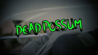 DEAD POSSUM halloween special [upl. by Risley]