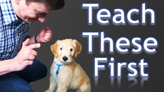 3 Easy Things to Teach your NEW PUPPY [upl. by Amieva311]