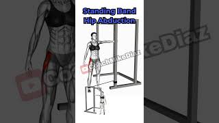 Standing Resistance Band Hip Abduction [upl. by Aneen]