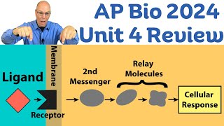 Unit 4 AP Bio Review Cell Communication Feedback and the Cell Cycle [upl. by Afnin259]