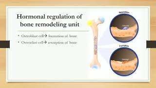 Hormones regulating plasma calcium level Parathormone Calcitonin and Vitamin D [upl. by Nitnilc]