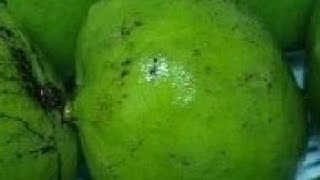 Peel And Cut Green Mango ll ASMR [upl. by Anazus]