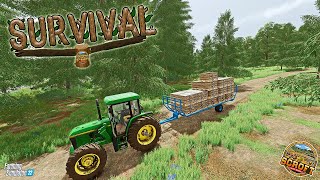 Planks Aplenty  FS22  Survival  Episode 31 [upl. by Jsandye]