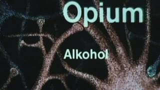 Physiologische Wirkung von Betäubungsmitteln [upl. by Juditha]