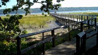 Sagamore Hill National Historic Site Tour [upl. by Irelav]